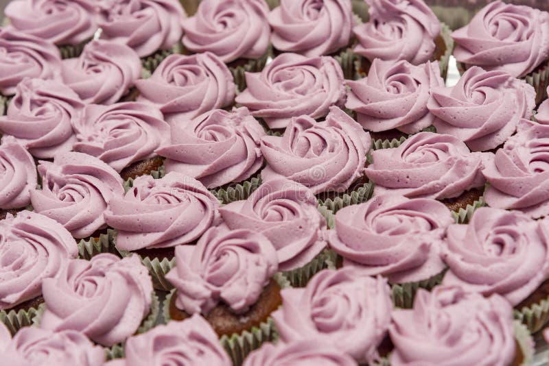 Η σοκολάτα cupcakes που διακοσμήθηκε με στενό επάνω αυξήθηκε διοχετεύοντας με σωλήνες στοκ εικόνες Η σοκολάτα cupcakes που διακοσμήθηκε με στενό επάνω αυξήθηκε διοχετεύοντας με σωλήνες στοκ εικόνες