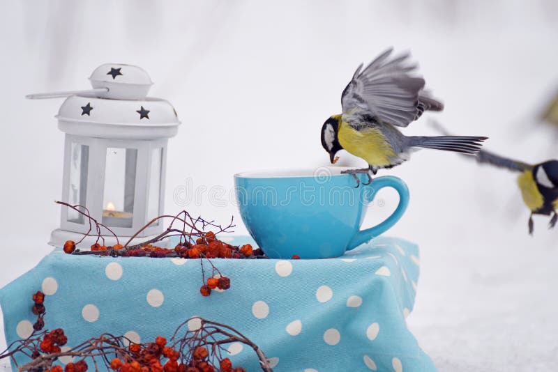 Η χειμερινή ακόμη ζωή Ο Titmouse on the fly τρώει από ένα κύπελλο στον χειμερινό κήπο στοκ φωτογραφία με δικαίωμα ελεύθερης χρήσης Η χειμερινή ακόμη ζωή Ο Titmouse on the fly τρώει από ένα κύπελλο στον χειμερινό κήπο στοκ φωτογραφία με δικαίωμα ελεύθερης χρήσης