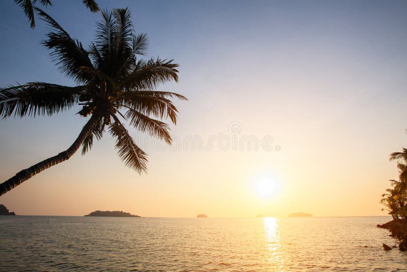 Ηλιοβασίλεμα στην τροπική ακτή με τις σκιαγραφίες του φοίνικα πέρα από το νερό Φύση