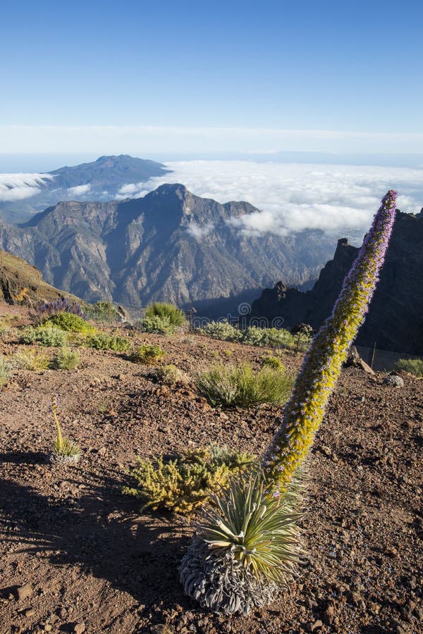 ηλιοβασίλεμα στο roque de los muchachos στην caldera de taburiente la palma ισπανία στοκ φωτογραφίες