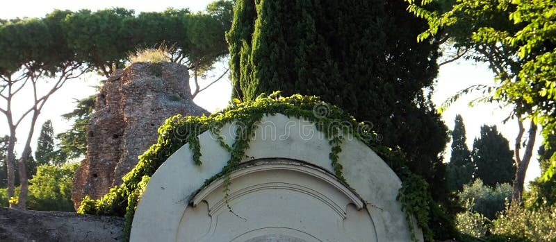 Ηλιοφώτιστη αύξηση του κισσού που σέρνεται κατά μήκος μιας άσπρης αψίδας ενός τοίχου στοκ φωτογραφία με δικαίωμα ελεύθερης χρήσης Ηλιοφώτιστη αύξηση του κισσού που σέρνεται κατά μήκος μιας άσπρης αψίδας ενός τοίχου στοκ φωτογραφία με δικαίωμα ελεύθερης χρήσης