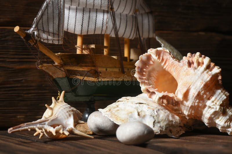 Sea travel concept background. Sea ship boat and seashells on the wooden desk table close up front view. Pirate table. Sea travel concept background. Sea ship boat and seashells on the wooden desk table close up front view. Pirate table