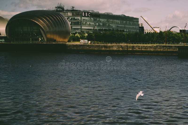 Θέατρο της Γλασκώβης IMAX με Seagull στοκ εικόνα με δικαίωμα ελεύθερης χρήσης Θέατρο της Γλασκώβης IMAX με Seagull στοκ εικόνα με δικαίωμα ελεύθερης χρήσης