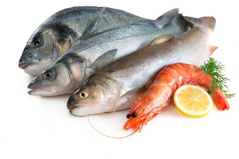 Seafood isolated on the white background. Seafood isolated on the white background