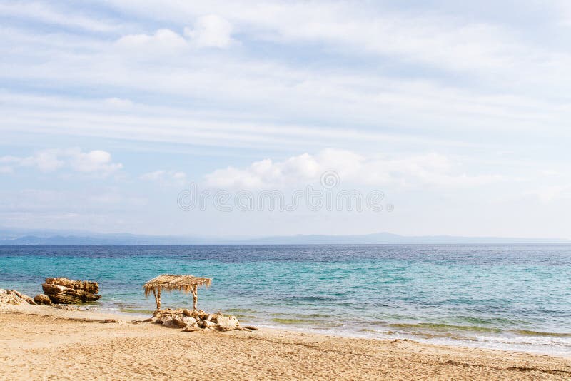 Θαμπάδων όμορφο φύλλο φοινικών φύσης πράσινο στην τροπική παραλία με bokeh αφηρημένο υπόβαθρο κυμάτων ήλιων το ελαφρύ Διάστημα αν στοκ εικόνα με δικαίωμα ελεύθερης χρήσης Θαμπάδων όμορφο φύλλο φοινικών φύσης πράσινο στην τροπική παραλία με bokeh αφηρημένο υπόβαθρο κυμάτων ήλιων το ελαφρύ Διάστημα αν στοκ εικόνα με δικαίωμα ελεύθερης χρήσης