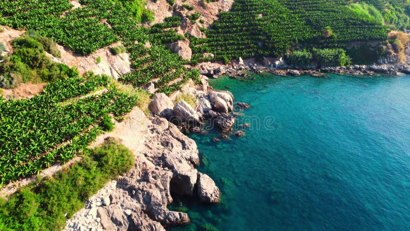 θαυμάσιος παράδεισος στην ακτή τυρκουάζ και πράσινα φυτά τεράστιος πέτρινος γκρεμός δραματικός και όμορφος γεωλογικός απόθεμα βίντεο