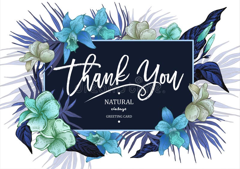Θερινή τροπική εκλεκτής ποιότητας Floral ευχετήρια κάρτα ελεύθερη απεικόνιση δικαιώματος Θερινή τροπική εκλεκτής ποιότητας Floral ευχετήρια κάρτα ελεύθερη απεικόνιση δικαιώματος