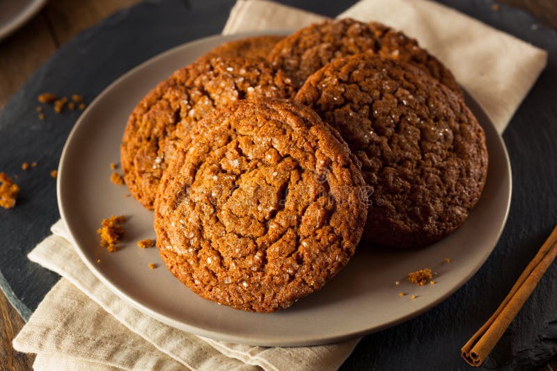 Θερμά σπιτικά μπισκότα Gingersnap στοκ φωτογραφία με δικαίωμα ελεύθερης χρήσης Θερμά σπιτικά μπισκότα Gingersnap στοκ φωτογραφία με δικαίωμα ελεύθερης χρήσης