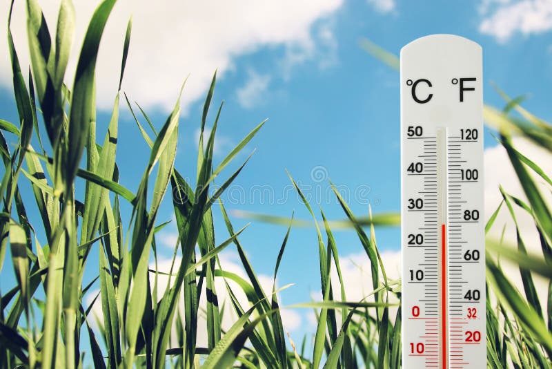 θερμόμετρο στον τομέα της πράσινης νέας χλόης που δείχνει την καιρική αλλαγή στοκ φωτογραφίες με δικαίωμα ελεύθερης χρήσης θερμόμετρο στον τομέα της πράσινης νέας χλόης που δείχνει την καιρική αλλαγή στοκ φωτογραφίες με δικαίωμα ελεύθερης χρήσης