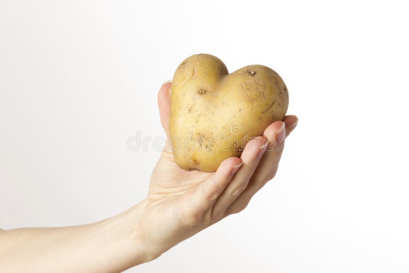θηλυκή εκμετάλλευση καρδιών χεριών potatoe στοκ εικόνες