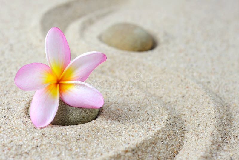 Ιαπωνικά πέτρες και frangipani περισυλλογής κήπων zen στοκ φωτογραφίες