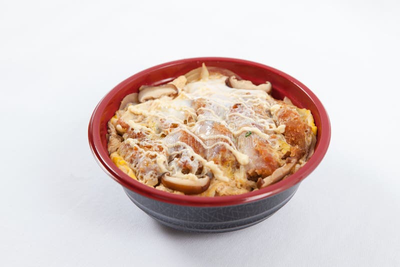 Ιαπωνικό Oyakodon στοκ εικόνες Ιαπωνικό Oyakodon στοκ εικόνες