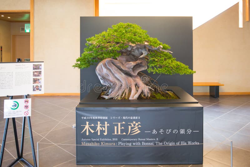 Ιαπωνικό μουσείο μπονσάι Omiya στο vilage μπονσάι