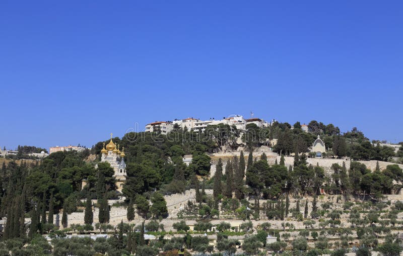 Ιερουσαλήμ, υποστήριγμα των εκκλησιών ελιών στοκ εικόνες με δικαίωμα ελεύθερης χρήσης Ιερουσαλήμ, υποστήριγμα των εκκλησιών ελιών στοκ εικόνες με δικαίωμα ελεύθερης χρήσης