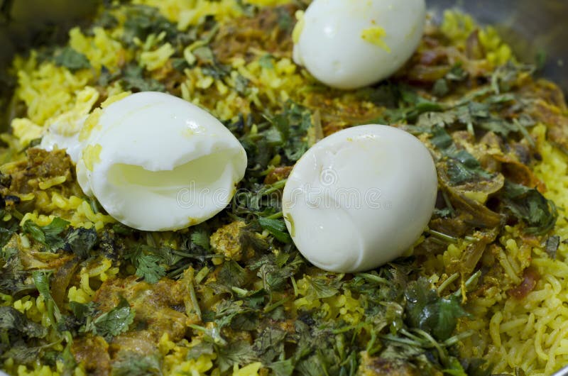 Ινδικό biryani κοτόπουλου στοκ εικόνα