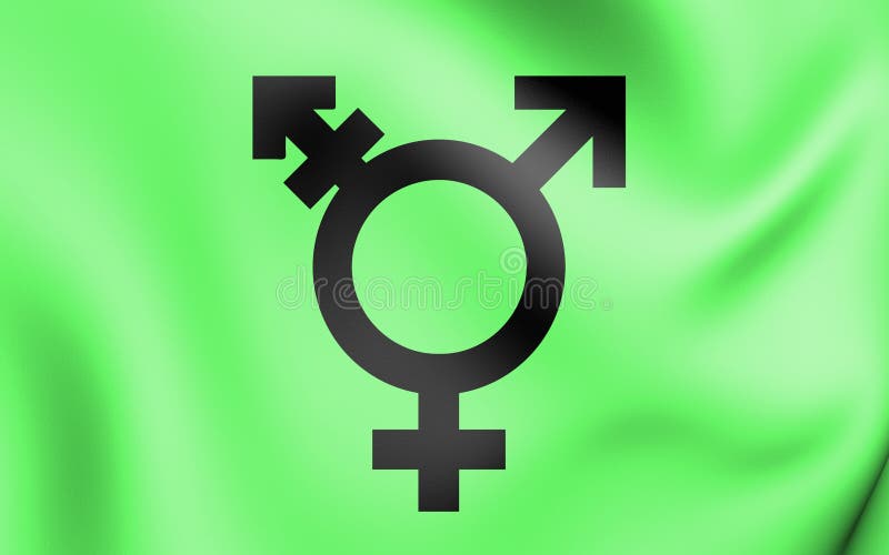 Ισραηλινή transgender σημαία διανυσματική απεικόνιση Ισραηλινή transgender σημαία διανυσματική απεικόνιση