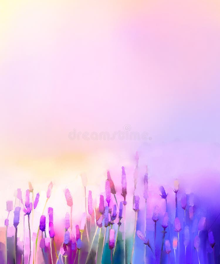 Ιώδη lavender ελαιογραφίας λουλούδια στα λιβάδια απεικόνιση αποθεμάτων