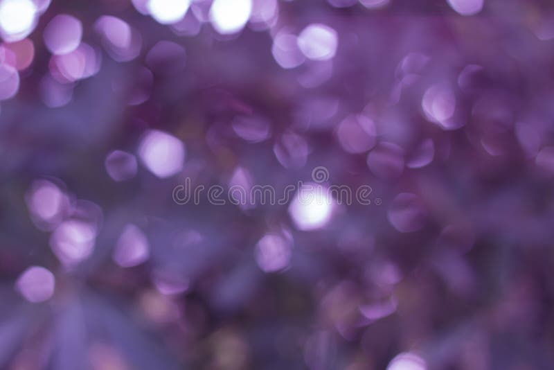 Ιώδη αφηρημένα ελαφριά υπόβαθρα bokeh, θολωμένα φω'τα στοκ εικόνα με δικαίωμα ελεύθερης χρήσης Ιώδη αφηρημένα ελαφριά υπόβαθρα bokeh, θολωμένα φω'τα στοκ εικόνα με δικαίωμα ελεύθερης χρήσης