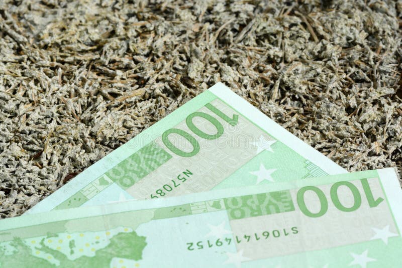 Κλείστε επάνω πολλών ευρωπαϊκών εκατό ευρώ - 100 στοκ εικόνα με δικαίωμα ελεύθερης χρήσης Κλείστε επάνω πολλών ευρωπαϊκών εκατό ευρώ - 100 στοκ εικόνα με δικαίωμα ελεύθερης χρήσης