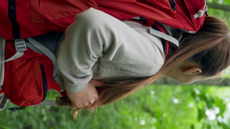 κάθετη γυναίκα με κουρέλια περπατάει απολαμβάνοντας πεζοπορία στο δάσος κοντά απόθεμα βίντεο