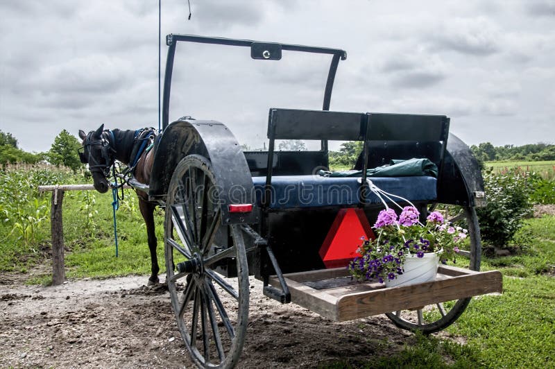 Κάρρο Amish, horse-drawn στοκ φωτογραφίες Κάρρο Amish, horse-drawn στοκ φωτογραφίες