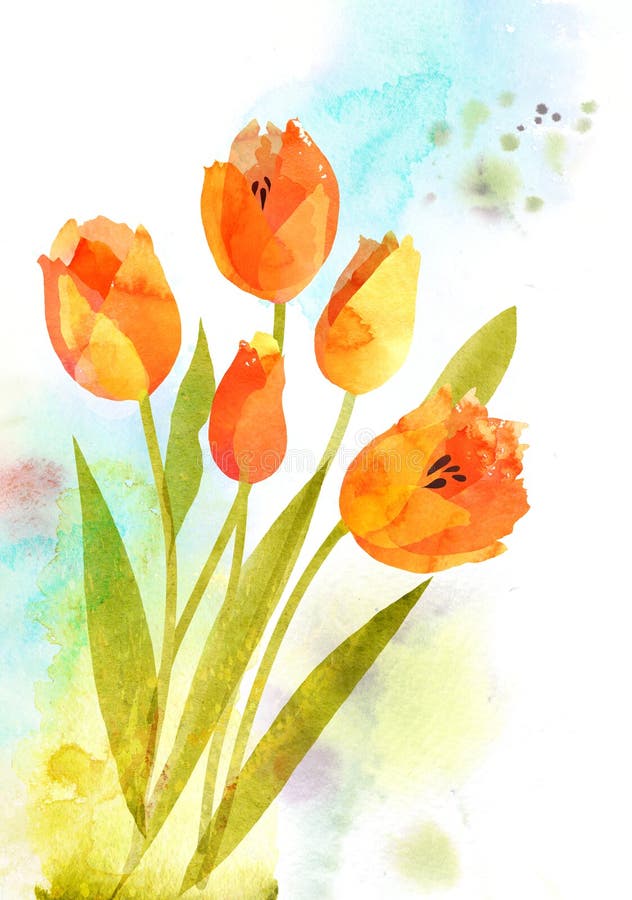 Κάρτα Watercolor με τις όμορφες πορτοκαλιές τουλίπες λουλουδιών διανυσματική απεικόνιση
