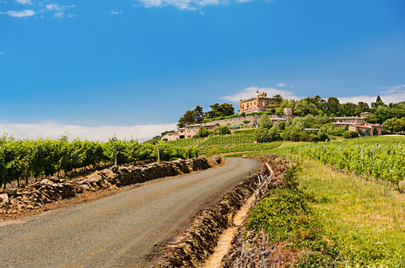 Κάστρο Montmelas και αμπελώνες, Beaujolais, Γαλλία στοκ φωτογραφίες με δικαίωμα ελεύθερης χρήσης Κάστρο Montmelas και αμπελώνες, Beaujolais, Γαλλία στοκ φωτογραφίες με δικαίωμα ελεύθερης χρήσης