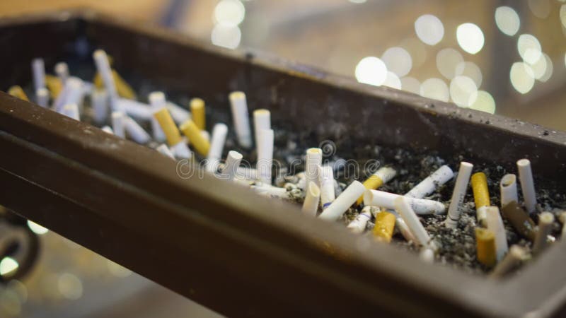 Κάψιμο τσιγάρων υπαίθρια φιλμ μικρού μήκους Κάψιμο τσιγάρων υπαίθρια φιλμ μικρού μήκους