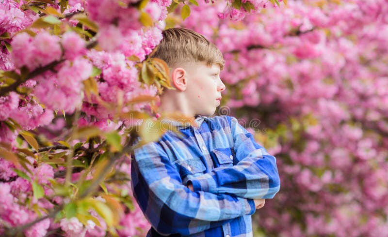 Κήπος sakura επίσκεψης Το χαριτωμένο παιδί απολαμβάνει τη θερμή ημέρα άνοιξη Τοποθέτηση εφήβων αγοριών κοντά στο sakura Παιδί στα στοκ φωτογραφίες με δικαίωμα ελεύθερης χρήσης Κήπος sakura επίσκεψης Το χαριτωμένο παιδί απολαμβάνει τη θερμή ημέρα άνοιξη Τοποθέτηση εφήβων αγοριών κοντά στο sakura Παιδί στα στοκ φωτογραφίες με δικαίωμα ελεύθερης χρήσης