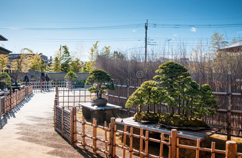 Κήπος μουσείων μπονσάι Omiya, Σαϊτάμα, Ιαπωνία