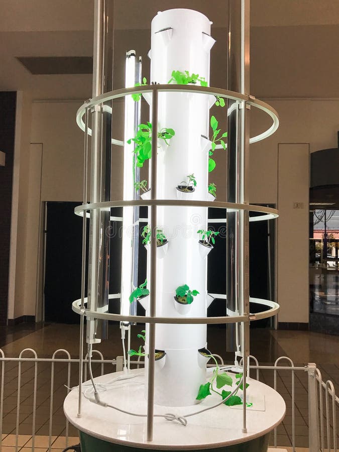A lit tower garden called aeroponics which is the process of growing plants in an air or mist environment without the use of soil or an aggregate medium known as geoponics. Uses water, electricity, liquid nutrients, and light. No soil is used. Less pollution and pests. No weeds. Vertical design. A lit tower garden called aeroponics which is the process of growing plants in an air or mist environment without the use of soil or an aggregate medium known as geoponics. Uses water, electricity, liquid nutrients, and light. No soil is used. Less pollution and pests. No weeds. Vertical design.