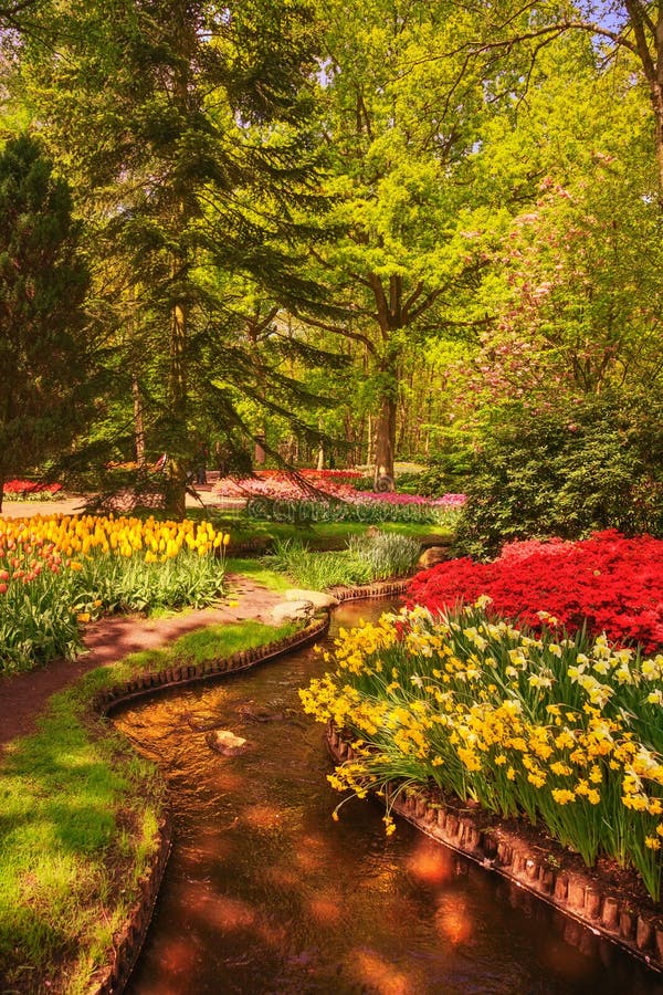 Κήπος σε Keukenhof, τα λουλούδια τουλιπών και τα δέντρα netherlands στοκ εικόνα Κήπος σε Keukenhof, τα λουλούδια τουλιπών και τα δέντρα netherlands στοκ εικόνα