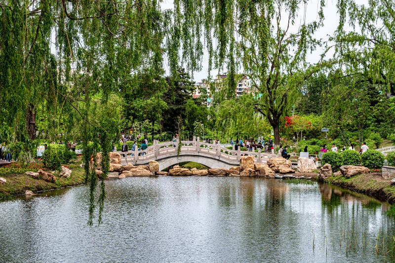 κίνα changchun peony garden σκηνικό στοκ φωτογραφία