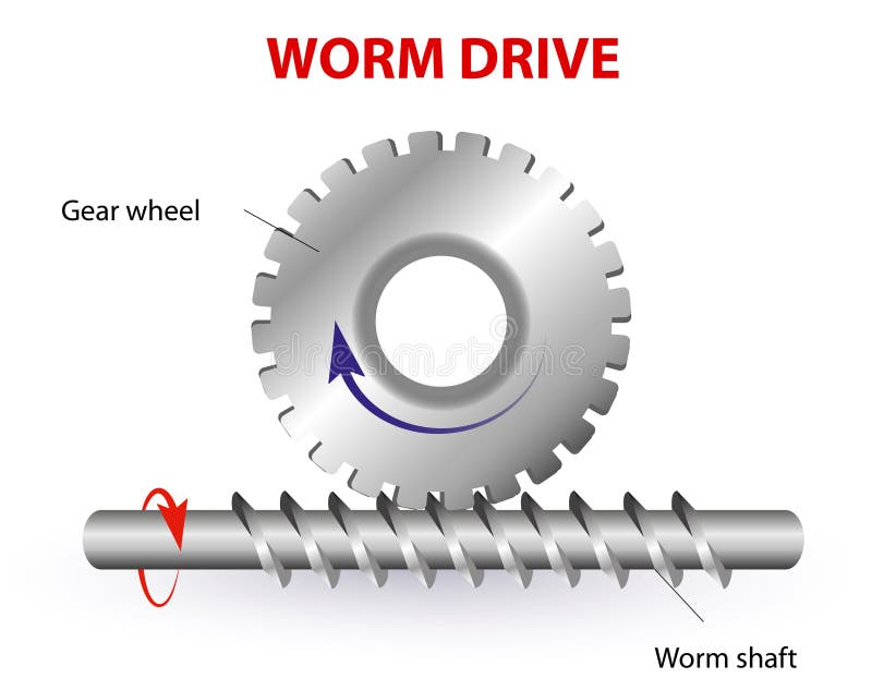 Worm drive. Vector diagram. Protrusion on the gear wheel enter the Worm shaft to form a gearing system. Worm shaft is a Cylindrical part that transfers the rotational movement of one part to another. Worm drive. Vector diagram. Protrusion on the gear wheel enter the Worm shaft to form a gearing system. Worm shaft is a Cylindrical part that transfers the rotational movement of one part to another