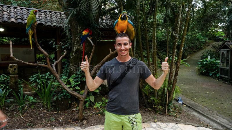 Κίτρινοι παπαγάλος/πουλί Macaw στο κεφάλι ατόμων ` s στο πάρκο πουλιών βουνών Macaw, Ονδούρα στοκ εικόνα με δικαίωμα ελεύθερης χρήσης Κίτρινοι παπαγάλος/πουλί Macaw στο κεφάλι ατόμων ` s στο πάρκο πουλιών βουνών Macaw, Ονδούρα στοκ εικόνα με δικαίωμα ελεύθερης χρήσης