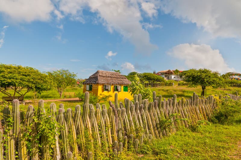 Yellow house and the fence of cactus on the island of Bonaire in the Caribbean - Netherlands Antilles. Yellow house and the fence of cactus on the island of Bonaire in the Caribbean - Netherlands Antilles