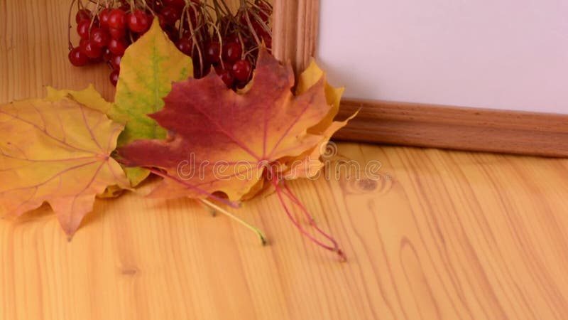 Κίτρινος σφένδαμνος, viburnum και κενό ξύλινο πιάτο κιβωτίων φιλμ μικρού μήκους