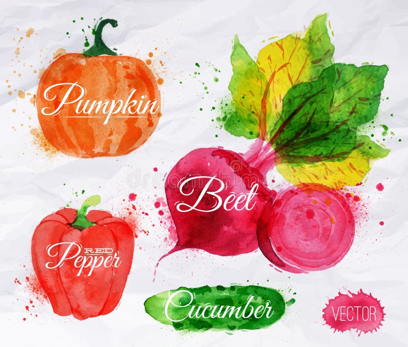 Vegetables set drawn watercolor blots and stains with a spray pumpkin, beet, pepper, cucumber. Vegetables set drawn watercolor blots and stains with a spray pumpkin, beet, pepper, cucumber