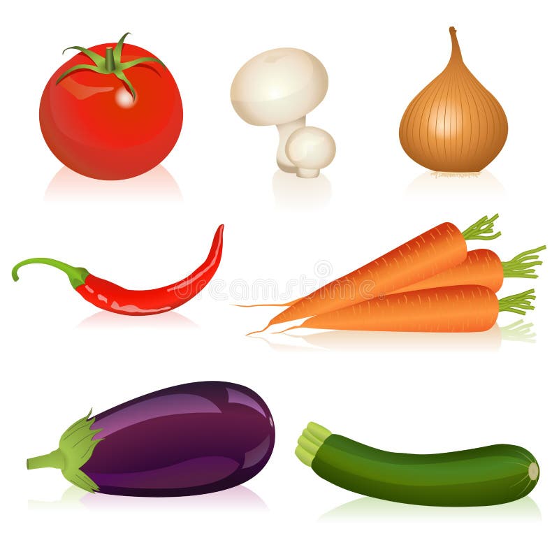 Illustration of tomato, mushroom, onion, carrot, chili, eggplant and zucchini. Illustration of tomato, mushroom, onion, carrot, chili, eggplant and zucchini