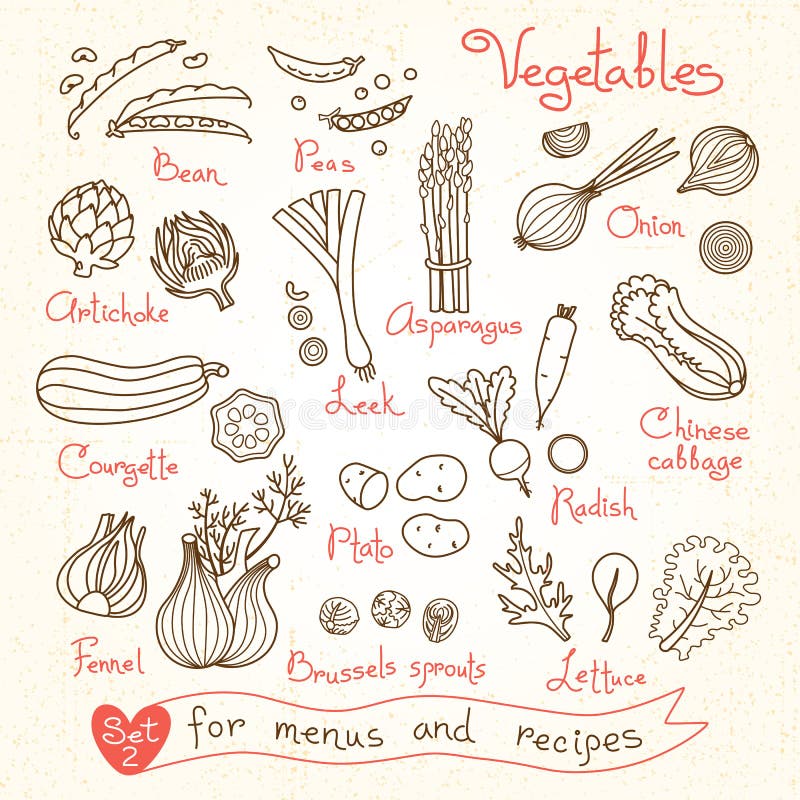 Set drawings of vegetables for design menus, recipes and packages product. Vector Illustration. Set drawings of vegetables for design menus, recipes and packages product. Vector Illustration.