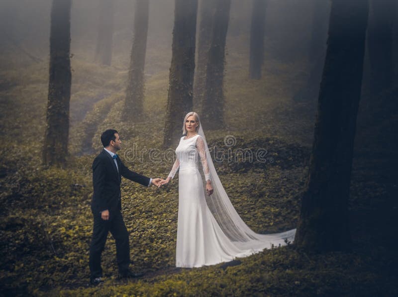 Καλό ζεύγος των newlyweds - η νύφη και ο νεόνυμφος στο όμορφο δάσος μυστηρίου με το καταπληκτικό φθινόπωρο θολώνουν στοκ φωτογραφίες με δικαίωμα ελεύθερης χρήσης