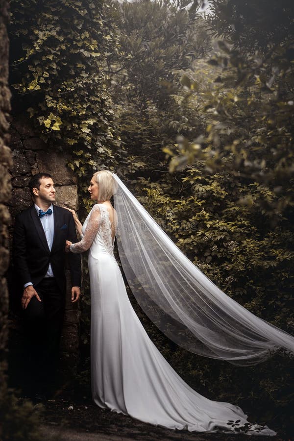 Καλό ζεύγος των newlyweds - νύφη και νεόνυμφος που αγκαλιάζουν σε ένα όμορφο δάσος μυστηρίου στοκ εικόνες με δικαίωμα ελεύθερης χρήσης