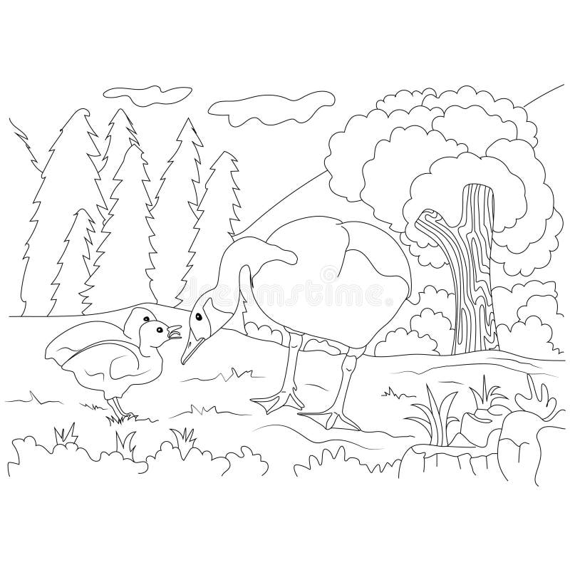 Καναδικό σχέδιο Goose Family Line Art for Coloring Ένα ασπρόμαυρο σχέδιο από χήνα Καναδά με δύο γαρίδες σε φυσικό περιβάλλον ελεύθερη απεικόνιση δικαιώματος