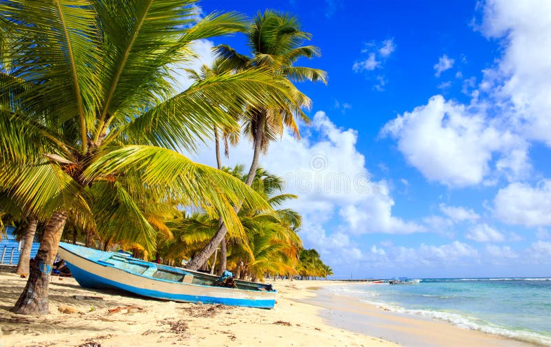 Beautiful caribbean beach on Saona island, Dominican Republic. Beautiful caribbean beach on Saona island, Dominican Republic