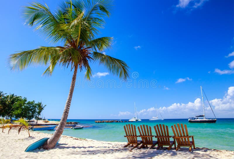 Beautiful caribbean beach on Saona island, Dominican Republic. Beautiful caribbean beach on Saona island, Dominican Republic