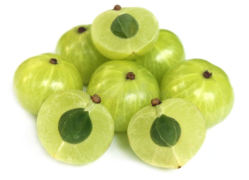 καρποί εστίασης amla εκλεκ& στοκ φωτογραφία με δικαίωμα ελεύθερης χρήσης