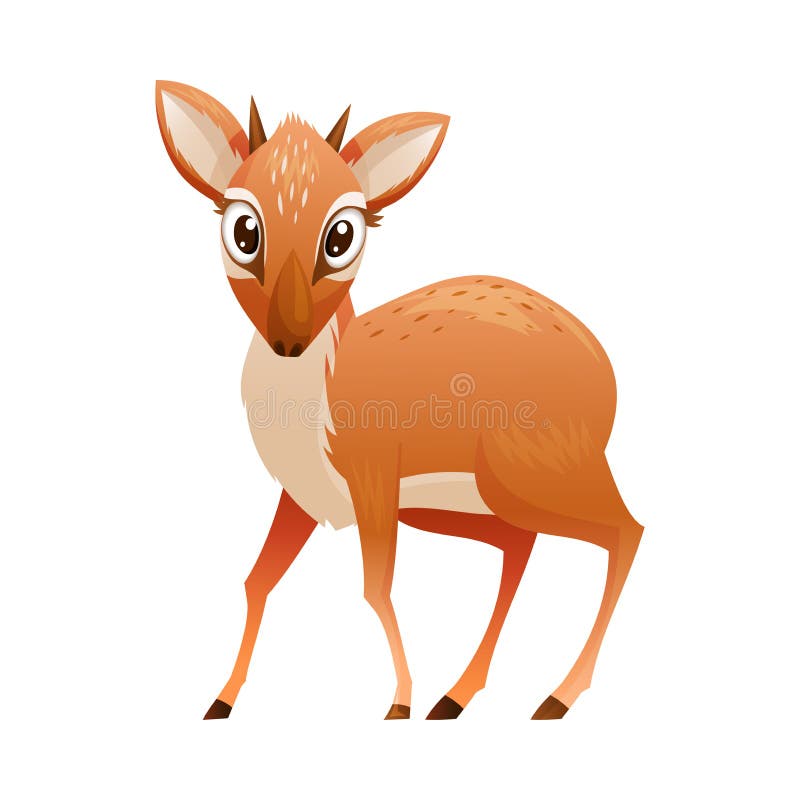 καστανό dikdik ως αφρικανική μικρή αντιλόπη με απεικόνιση φορέα κέρατος απεικόνιση αποθεμάτων