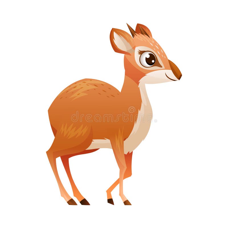 καστανό dikdik ως αφρικανική μικρή αντιλόπη με απεικόνιση φορέα κέρατος διανυσματική απεικόνιση