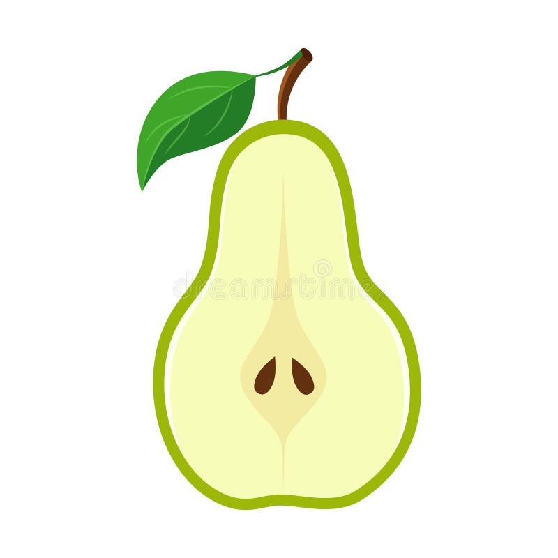 Half green pear slice vector illustration isolated on white background. Half green pear slice vector illustration isolated on white background.