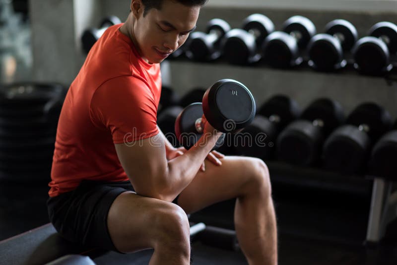 Muscle Asian smiling man exercise biceps with heavy dumbbells near ftiness gym shelf. Muscular body sportsman in sport fitness center. Bodybuilding and healthy lifestyle. Muscle Asian smiling man exercise biceps with heavy dumbbells near ftiness gym shelf. Muscular body sportsman in sport fitness center. Bodybuilding and healthy lifestyle